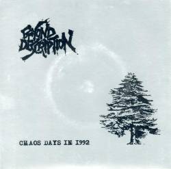 Beyond Description : Chaos Days in 1992